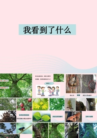 三年级科学上册 1.1《我看到了什么》课件（1） 教科版-教科版小学三年级上册自然科学课件