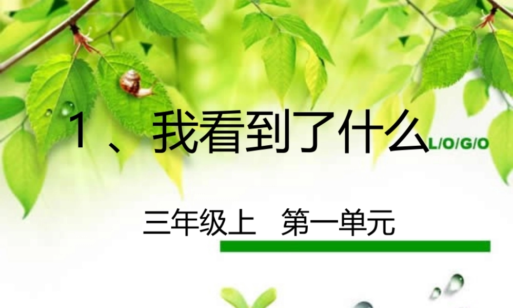 三年级科学上册 1.1《我看到了什么》课件（2） 教科版-教科版小学三年级上册自然科学课件