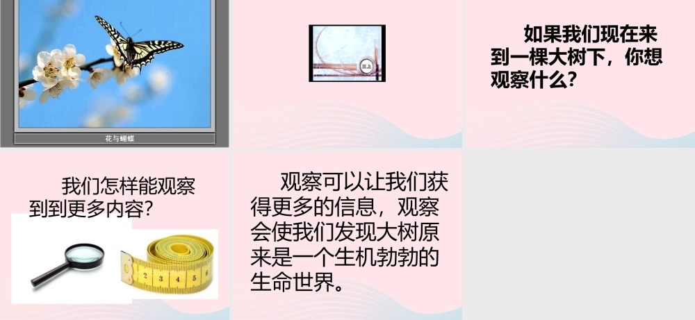 三年级科学上册 1.1《我看到了什么》课件（2） 教科版-教科版小学三年级上册自然科学课件