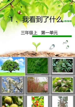 三年级科学上册 1.1《我看到了什么》课件（2） 教科版-教科版小学三年级上册自然科学课件