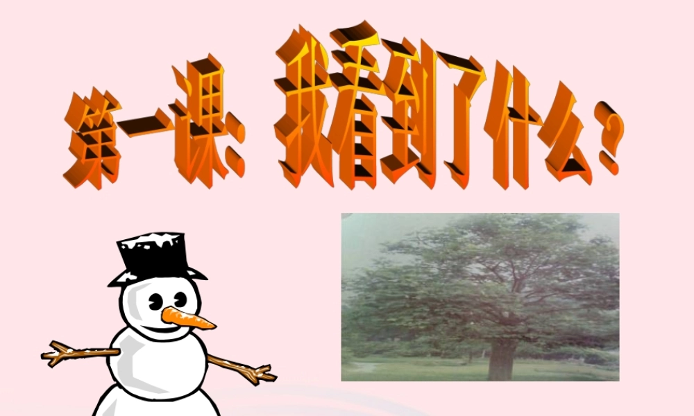 三年级科学上册 1.1《我看到了什么》课件（4） 教科版-教科版小学三年级上册自然科学课件