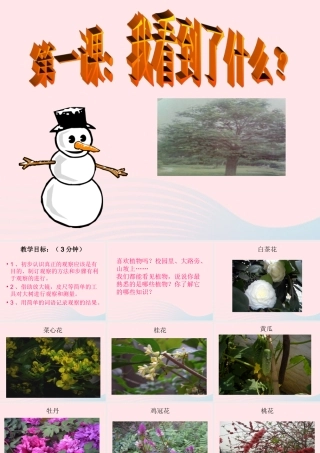 三年级科学上册 1.1《我看到了什么》课件（4） 教科版-教科版小学三年级上册自然科学课件