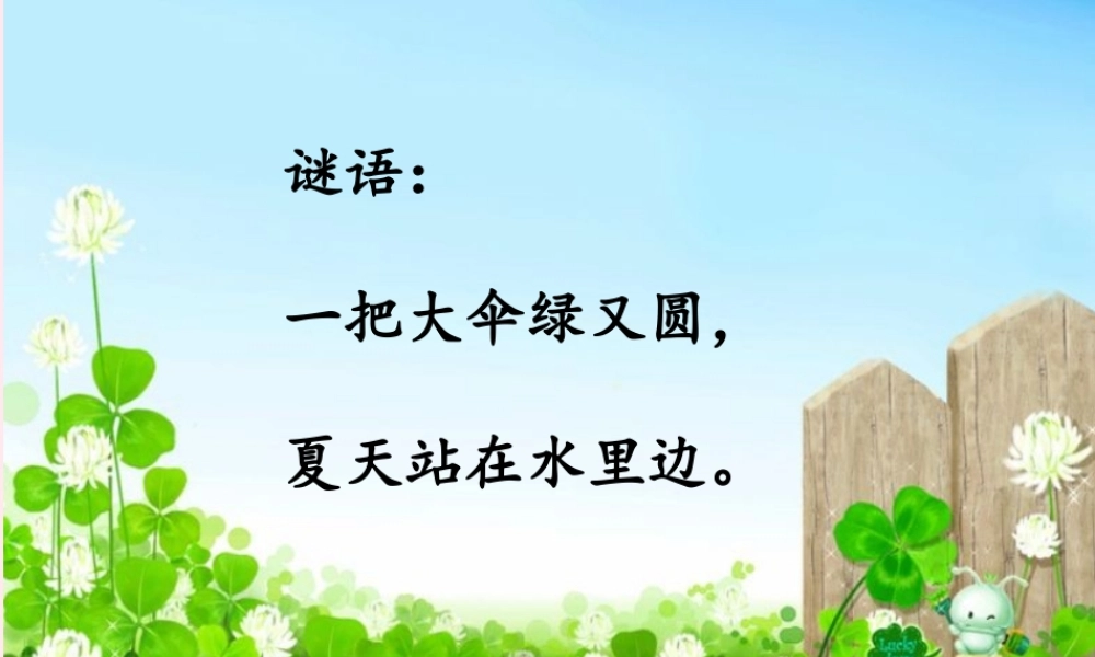 一年级语文下册 第14课《荷叶伞》课件1 冀教版-冀教版小学一年级下册语文课件