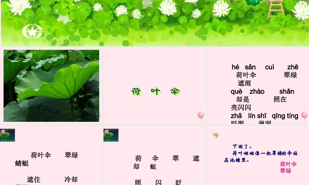 一年级语文下册 第14课《荷叶伞》课件1 冀教版-冀教版小学一年级下册语文课件