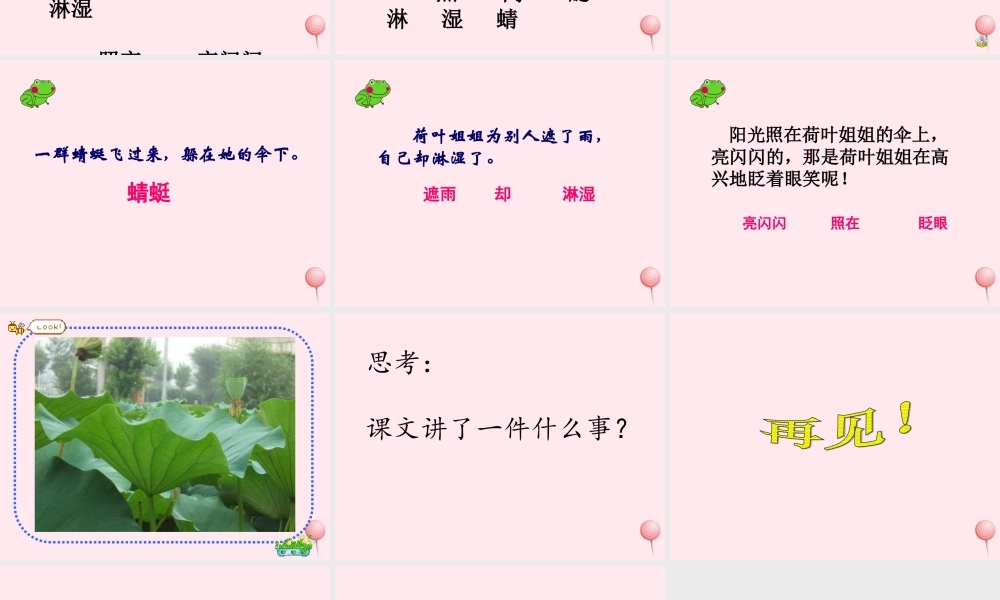 一年级语文下册 第14课《荷叶伞》课件1 冀教版-冀教版小学一年级下册语文课件