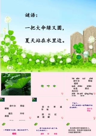 一年级语文下册 第14课《荷叶伞》课件1 冀教版-冀教版小学一年级下册语文课件