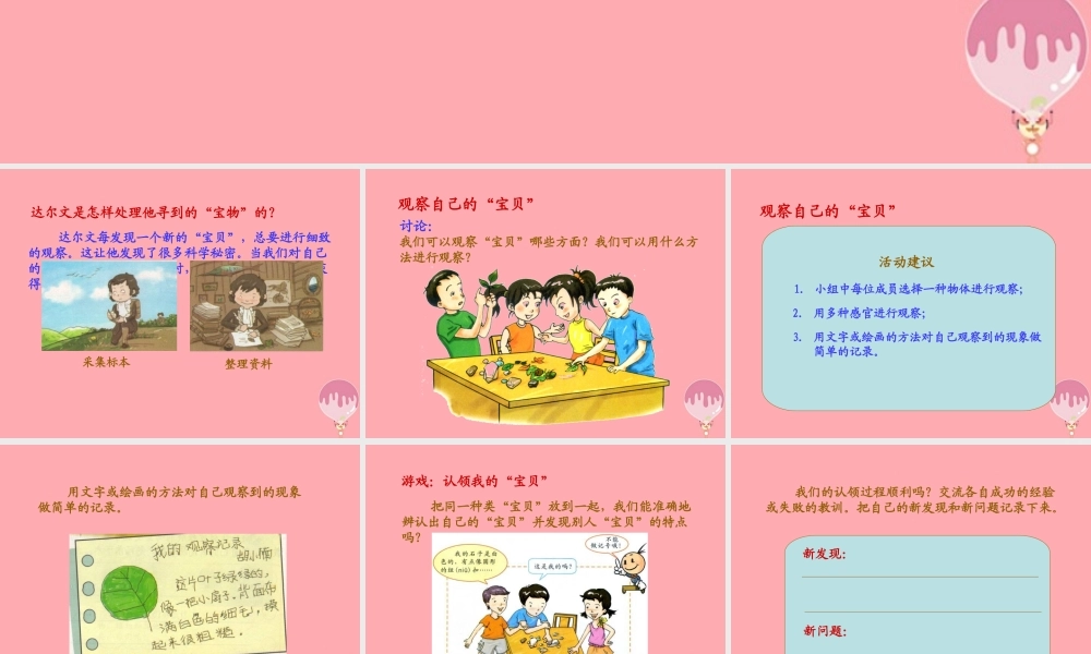 三年级科学上册 1.2 观察宝贝课件1 湘教版-湘教版小学三年级上册自然科学课件