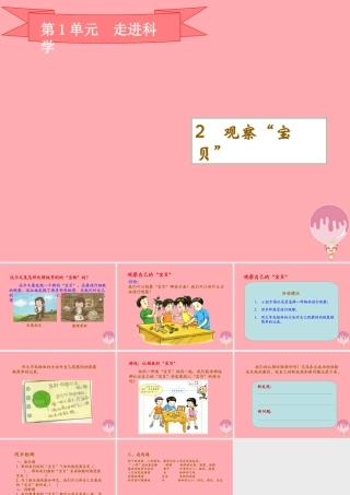 三年级科学上册 1.2 观察宝贝课件1 湘教版-湘教版小学三年级上册自然科学课件