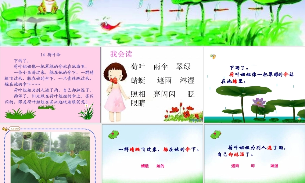 一年级语文下册 第14课《荷叶伞》课件2 冀教版-冀教版小学一年级下册语文课件