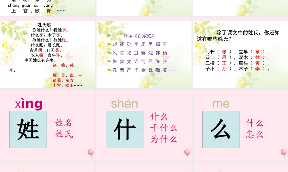 一年级语文下册 识字（一）2 姓氏歌课件 新人教版-新人教版小学一年级下册语文课件