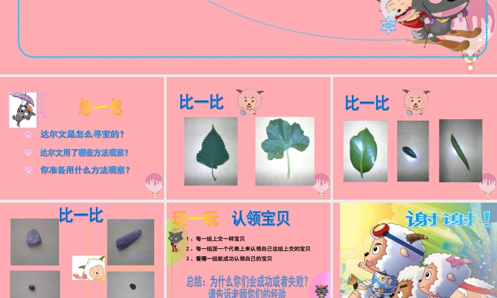 三年级科学上册 1.2 观察宝贝课件2 湘教版-湘教版小学三年级上册自然科学课件