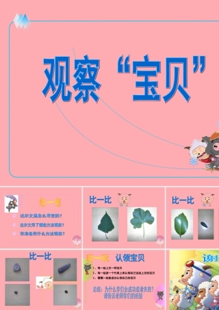 三年级科学上册 1.2 观察宝贝课件2 湘教版-湘教版小学三年级上册自然科学课件