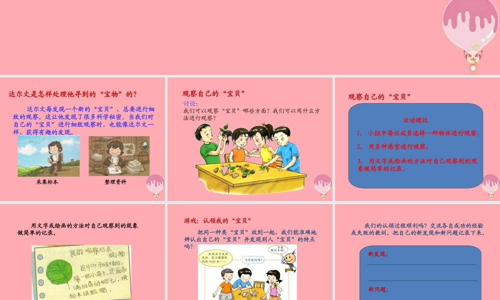 三年级科学上册 1.2 观察宝贝课件3 湘教版-湘教版小学三年级上册自然科学课件