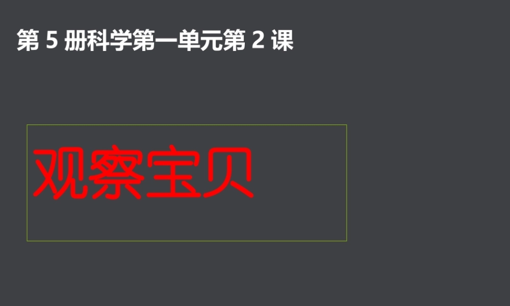 三年级科学上册 1.2 观察宝贝课件4 湘教版-湘教版小学三年级上册自然科学课件