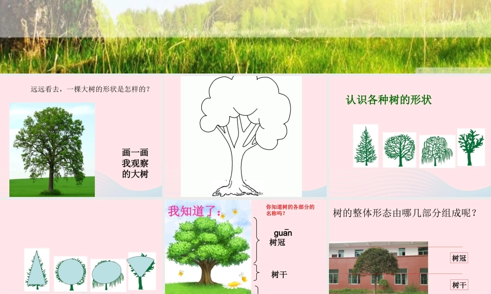 三年级科学上册 1.2《校园的树木》课件（1） 教科版-教科版小学三年级上册自然科学课件