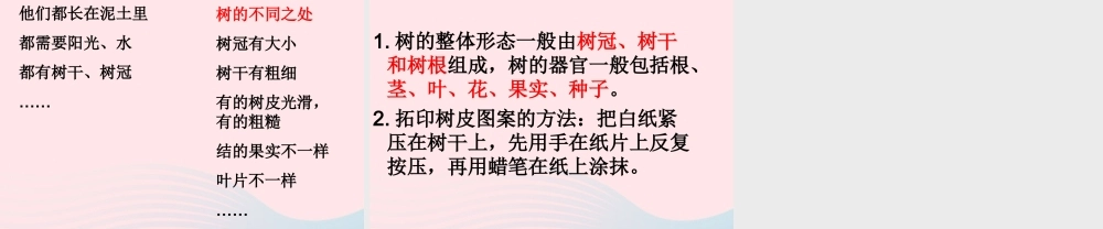三年级科学上册 1.2《校园的树木》课件（1） 教科版-教科版小学三年级上册自然科学课件