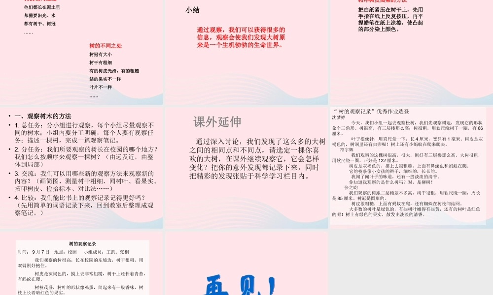 三年级科学上册 1.2《校园的树木》课件（2） 教科版-教科版小学三年级上册自然科学课件