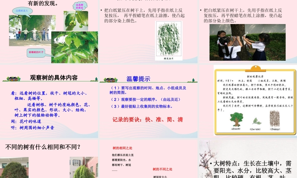 三年级科学上册 1.2《校园的树木》课件（3） 教科版-教科版小学三年级上册自然科学课件