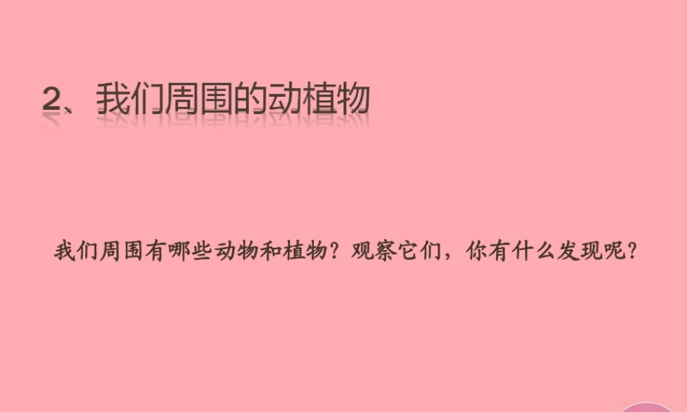 三年级科学上册 1.3 我们周围的动植物课件4 青岛版五四制-青岛版小学三年级上册自然科学课件