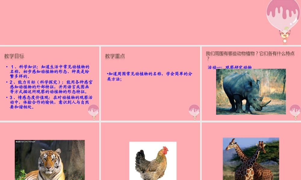 三年级科学上册 1.3 我们周围的动植物课件4 青岛版五四制-青岛版小学三年级上册自然科学课件