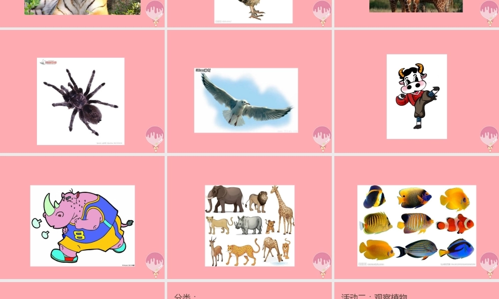 三年级科学上册 1.3 我们周围的动植物课件4 青岛版五四制-青岛版小学三年级上册自然科学课件