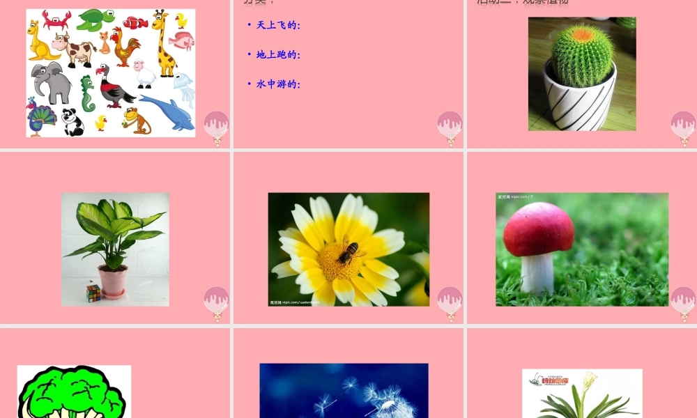 三年级科学上册 1.3 我们周围的动植物课件4 青岛版五四制-青岛版小学三年级上册自然科学课件