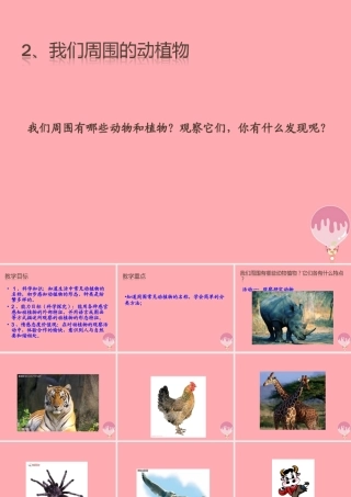 三年级科学上册 1.3 我们周围的动植物课件4 青岛版五四制-青岛版小学三年级上册自然科学课件