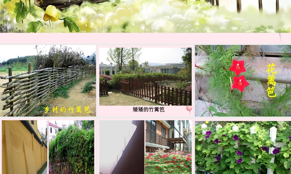 一年级语文下册 第15课《花篱笆》课件2 冀教版-冀教版小学一年级下册语文课件