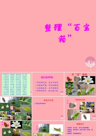 三年级科学上册 1.3 整理百宝箱课件3 湘教版-湘教版小学三年级上册自然科学课件