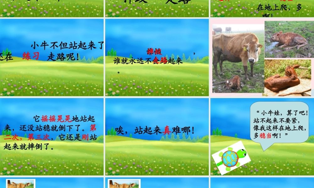 一年级语文下册 课文3 第10课《小牛站起来了》课件3 湘教版-湘教版小学一年级下册语文课件