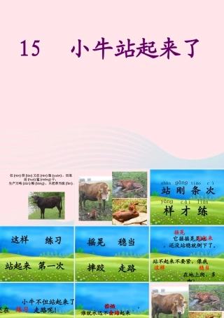一年级语文下册 课文3 第10课《小牛站起来了》课件3 湘教版-湘教版小学一年级下册语文课件
