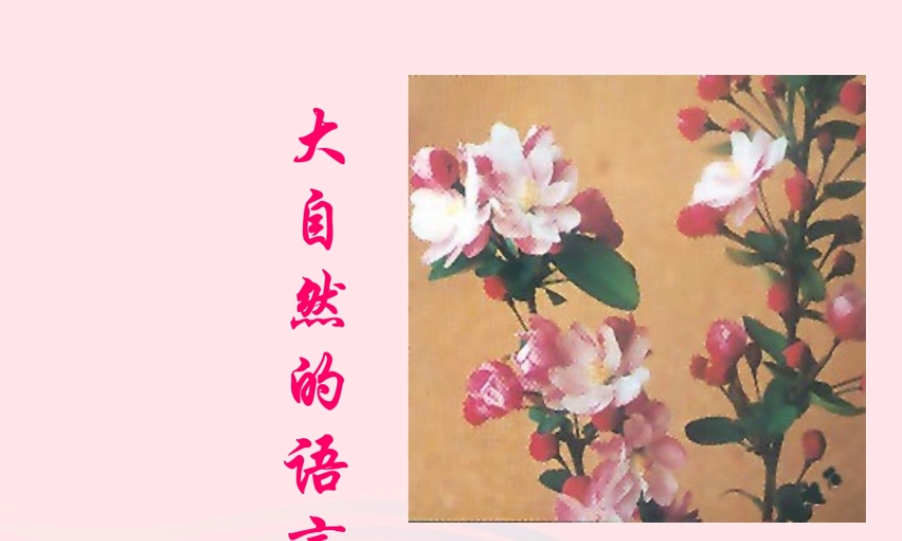 一年级语文下册 第16课《大自然的语言》课件1 鄂教版-鄂教版小学一年级下册语文课件