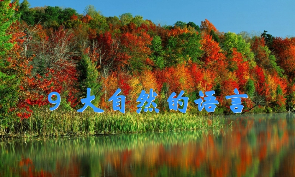 一年级语文下册 第16课《大自然的语言》课件2 鄂教版-鄂教版小学一年级下册语文课件