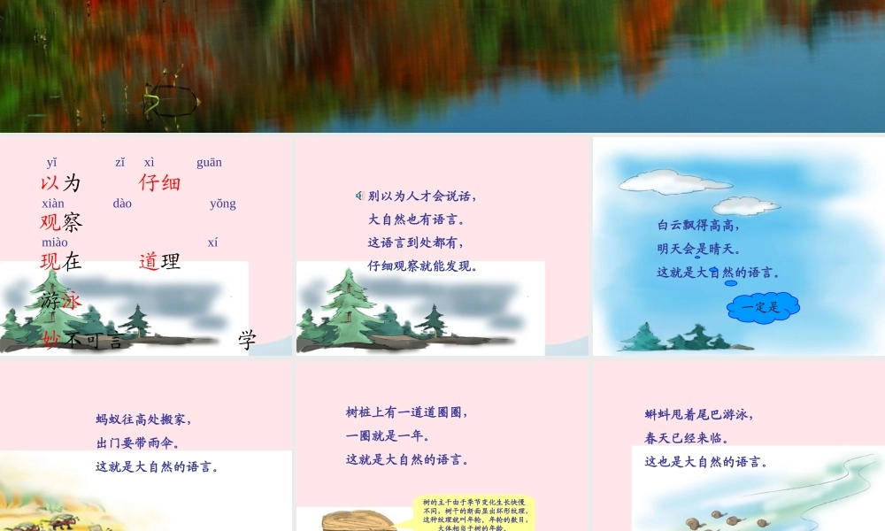 一年级语文下册 第16课《大自然的语言》课件2 鄂教版-鄂教版小学一年级下册语文课件