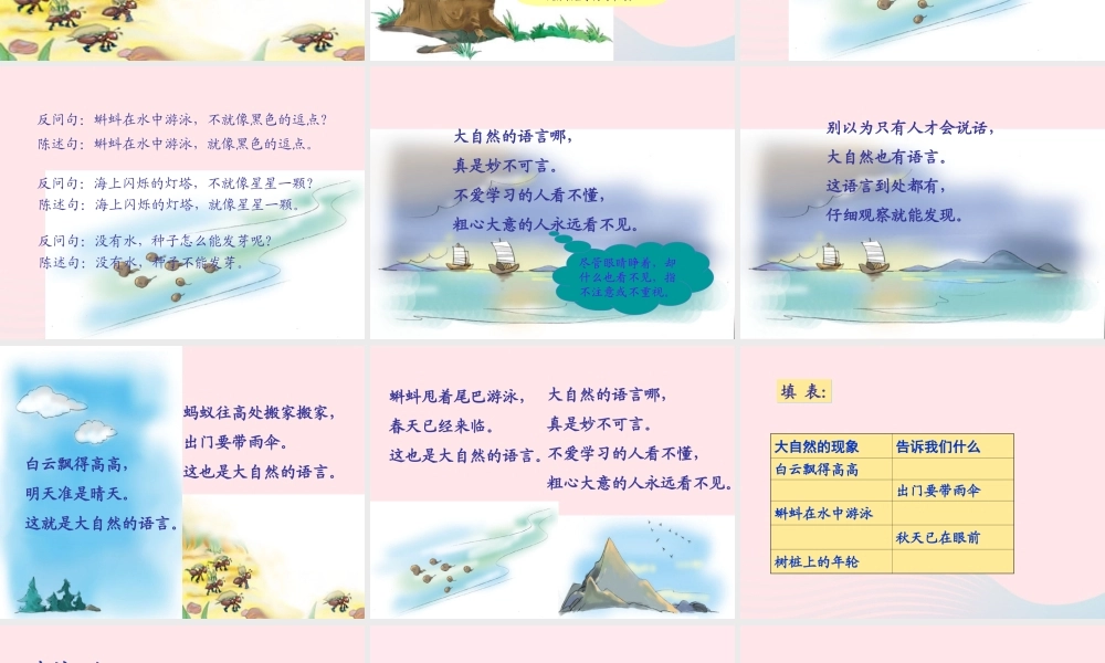 一年级语文下册 第16课《大自然的语言》课件2 鄂教版-鄂教版小学一年级下册语文课件