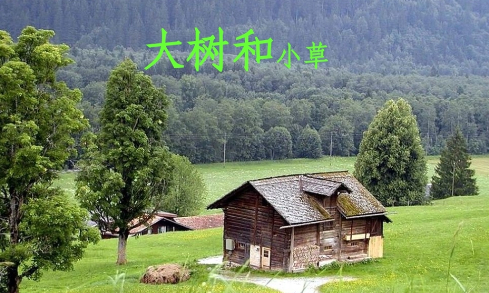 三年级科学上册 1.3《大树和小草》课件（4） 教科版-教科版小学三年级上册自然科学课件