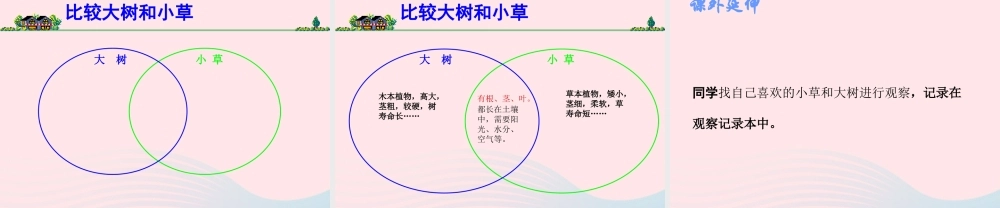 三年级科学上册 1.3《大树和小草》课件（4） 教科版-教科版小学三年级上册自然科学课件