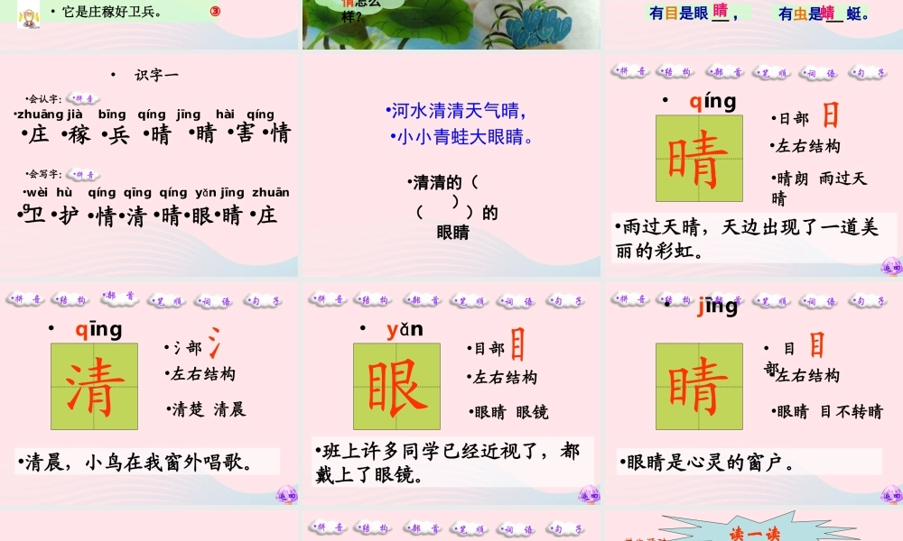 一年级语文下册 识字（一）3《小青蛙》课件2 新人教版-新人教版小学一年级下册语文课件