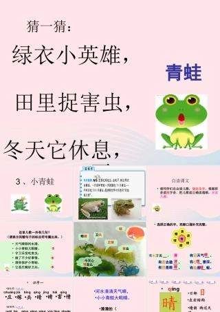 一年级语文下册 识字（一）3《小青蛙》课件2 新人教版-新人教版小学一年级下册语文课件