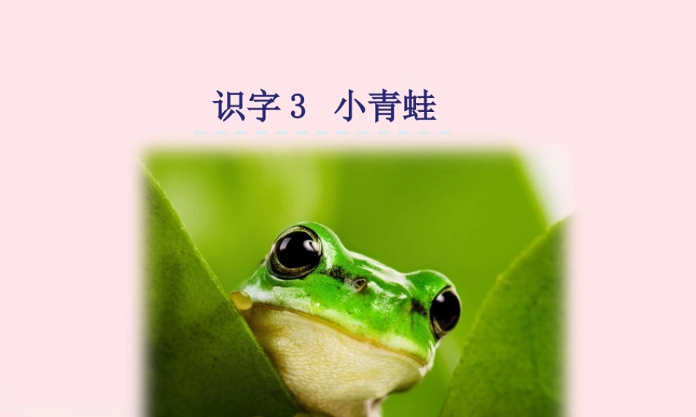 一年级语文下册 识字（一）3《小青蛙》课件3 新人教版-新人教版小学一年级下册语文课件