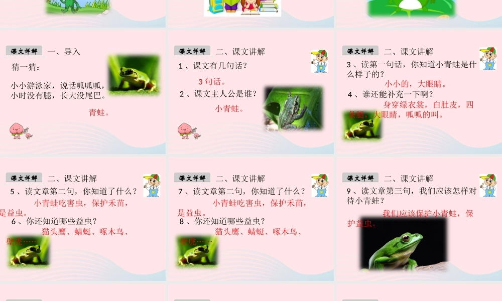 一年级语文下册 识字（一）3《小青蛙》课件3 新人教版-新人教版小学一年级下册语文课件