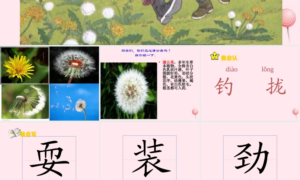 一年级语文下册 第17课《金色的草地》课件1 鄂教版-鄂教版小学一年级下册语文课件