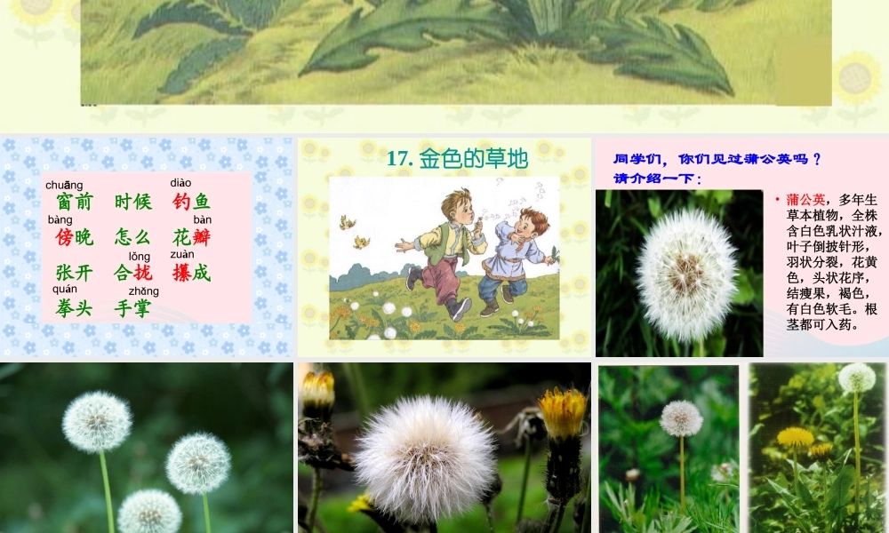 一年级语文下册 第17课《金色的草地》课件2 鄂教版-鄂教版小学一年级下册语文课件