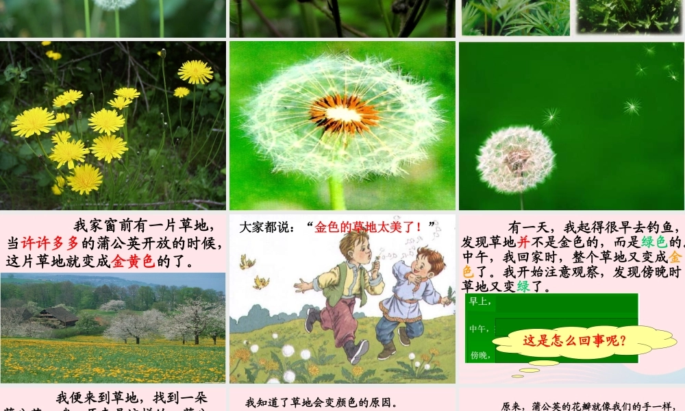 一年级语文下册 第17课《金色的草地》课件2 鄂教版-鄂教版小学一年级下册语文课件