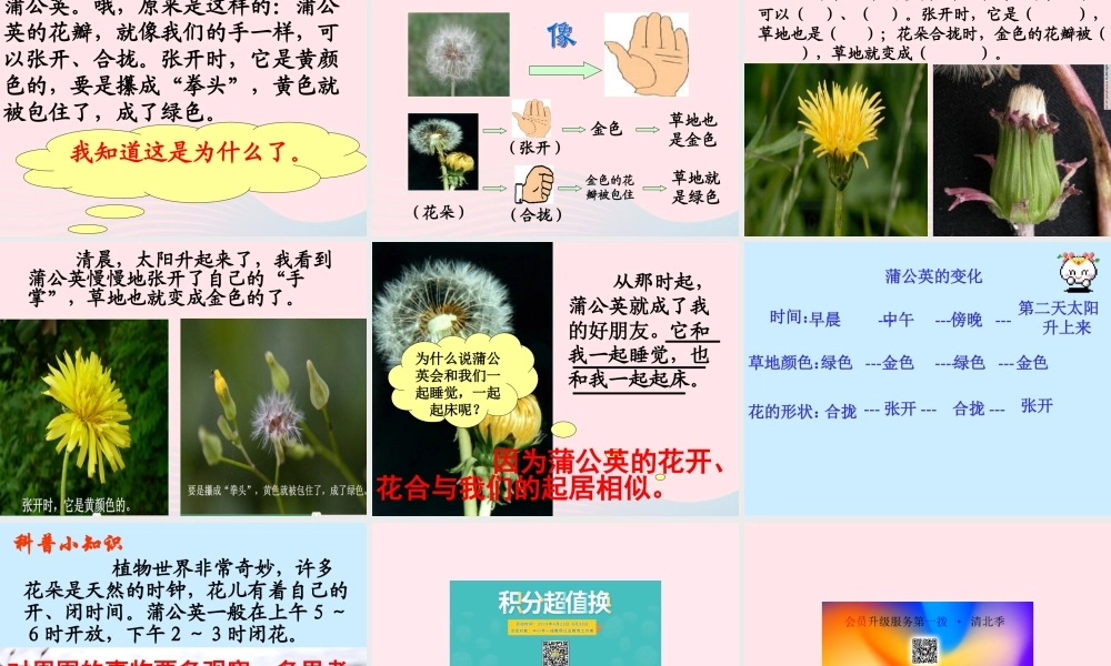 一年级语文下册 第17课《金色的草地》课件2 鄂教版-鄂教版小学一年级下册语文课件