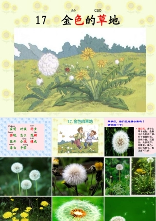 一年级语文下册 第17课《金色的草地》课件2 鄂教版-鄂教版小学一年级下册语文课件