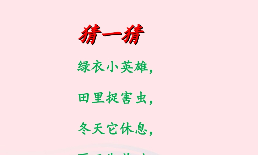 一年级语文下册 识字一 3《小青蛙》课件2 新人教版-新人教版小学一年级下册语文课件