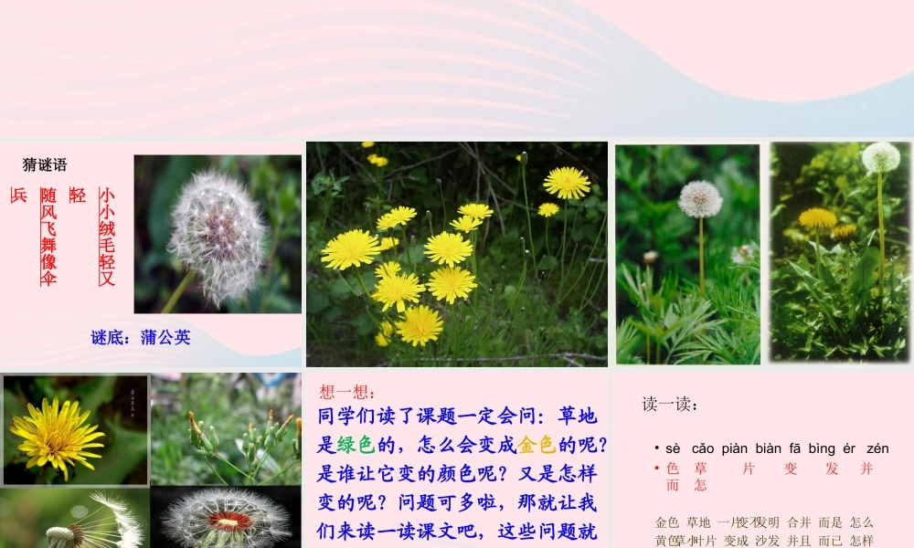 一年级语文下册 第17课《金色的草地》课件3 鄂教版-鄂教版小学一年级下册语文课件