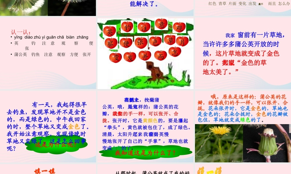 一年级语文下册 第17课《金色的草地》课件3 鄂教版-鄂教版小学一年级下册语文课件