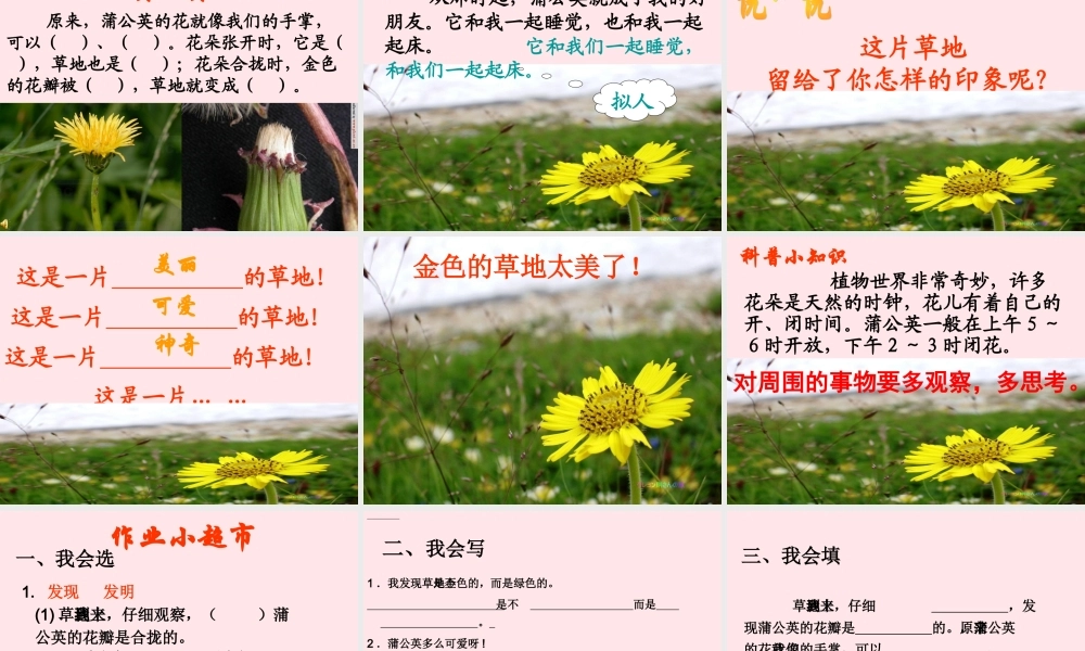 一年级语文下册 第17课《金色的草地》课件3 鄂教版-鄂教版小学一年级下册语文课件